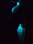 111214-Katatonia-036