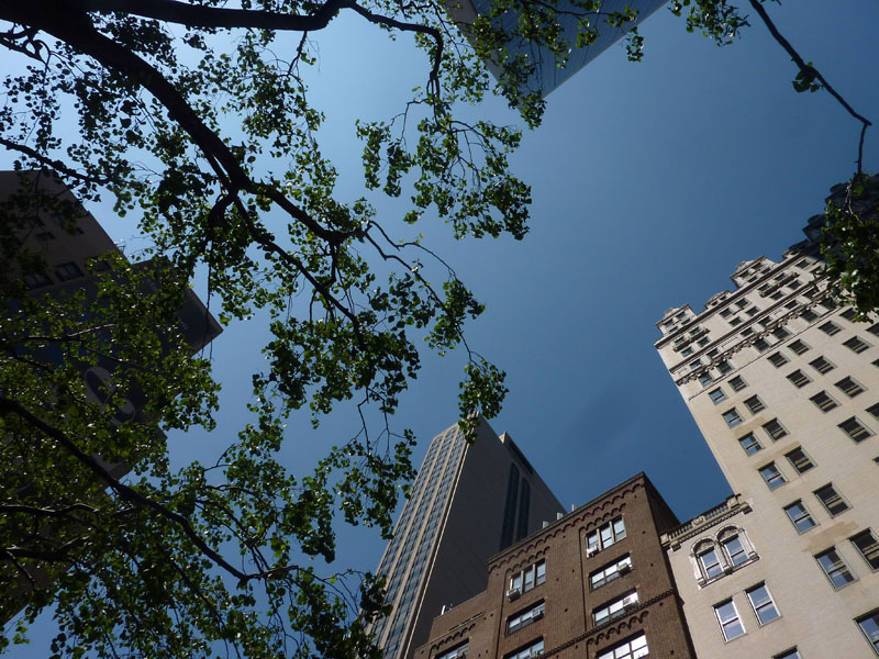 120421-29-New York-AJ-003