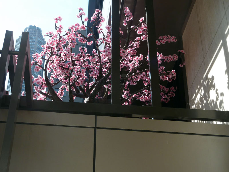 120421-29-New York-AJ-004
