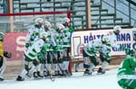 120304-Bajen-VSK-026