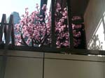 120421-29-New York-AJ-004
