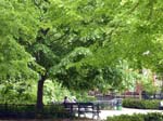 120421-29-New York-AJ-110