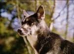 80s-Late-Misc-072
