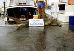 80s-USA-89-023