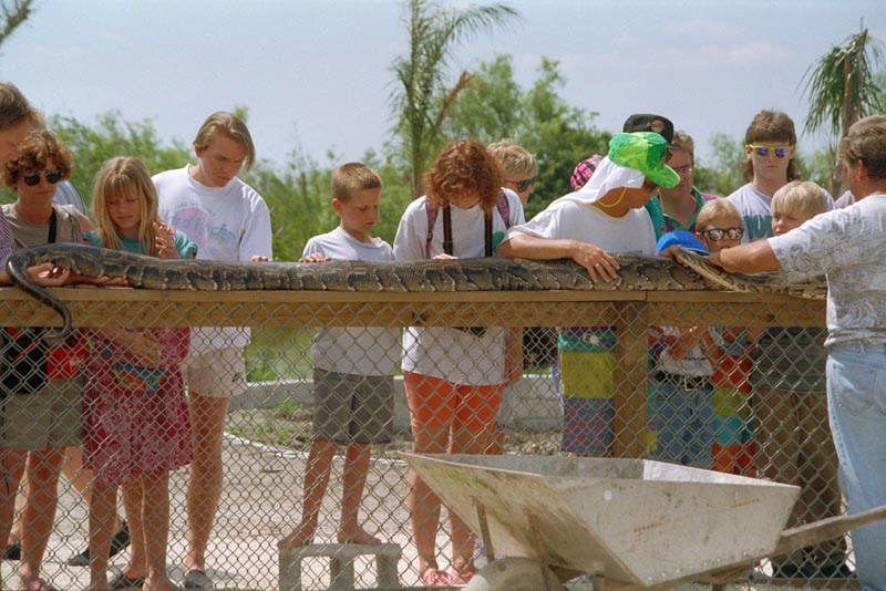 90s-USA-94-028