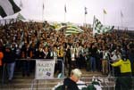 01-SM-Guld-013