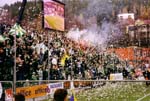 01-SM-Guld-029