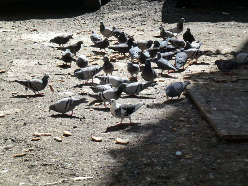 130420-28-NYC-034