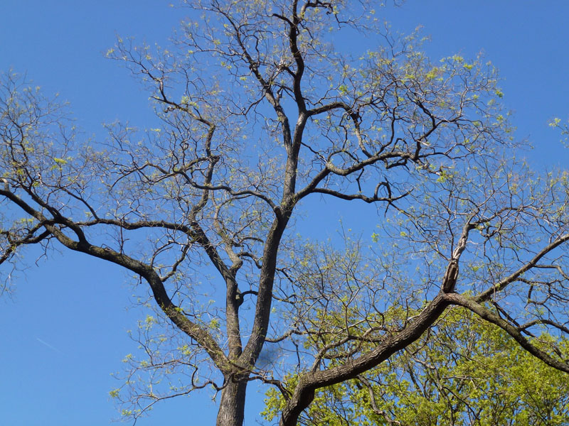 130420-28-NYC-184