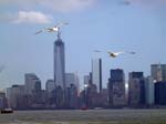 130420-28-NYC-088