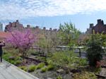 130420-28-NYC-128