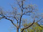 130420-28-NYC-184