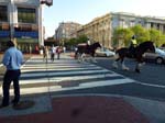 130420-28-NYC-203