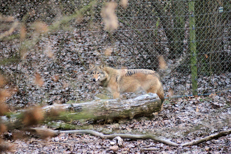 071215-Skansen-010